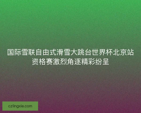 国际雪联自由式滑雪大跳台世界杯北京站资格赛激烈角逐精彩纷呈